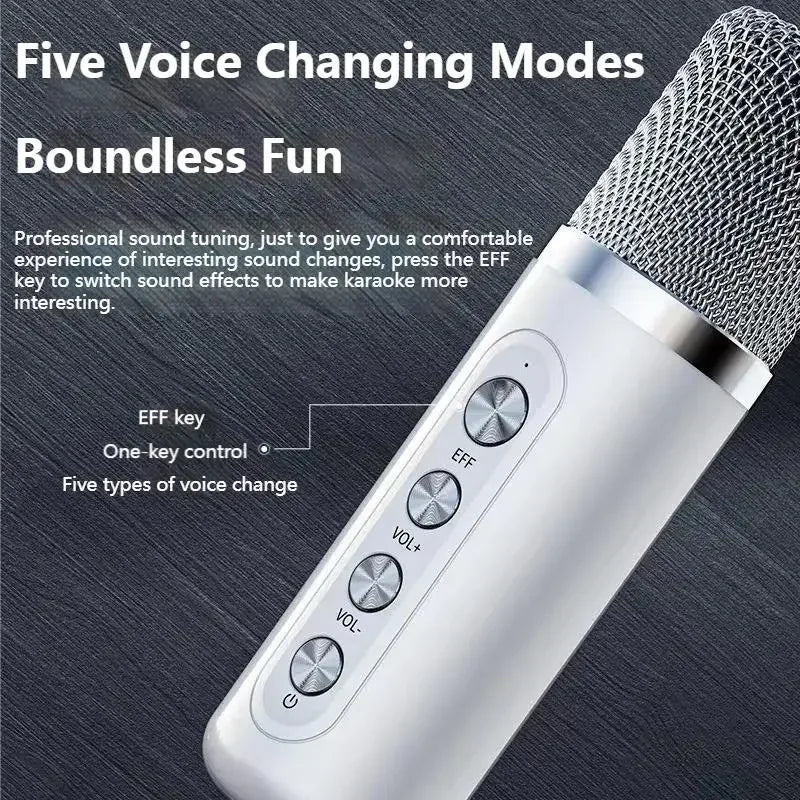 Powerful 10W Wireless Portable Bluetooth Speaker With Dual Microphone Sound Outdoor Family Party Karaoke Subwoofer Boom Box