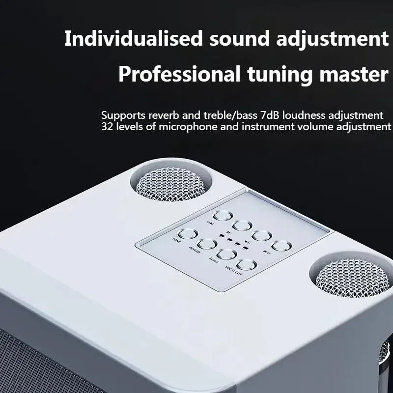 Powerful 10W Wireless Portable Bluetooth Speaker With Dual Microphone Sound Outdoor Family Party Karaoke Subwoofer Boom Box
