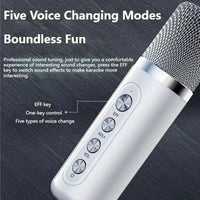 Powerful 10W Wireless Portable Bluetooth Speaker With Dual Microphone Sound Outdoor Family Party Karaoke Subwoofer Boom Box