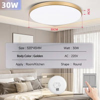 Black Led Ceiling Lamp 220V Dustproof Ceiling Panel Lamp Indoor Bathroom Lamp for Living Room Decor Ultra-thin LED Ceiling Light