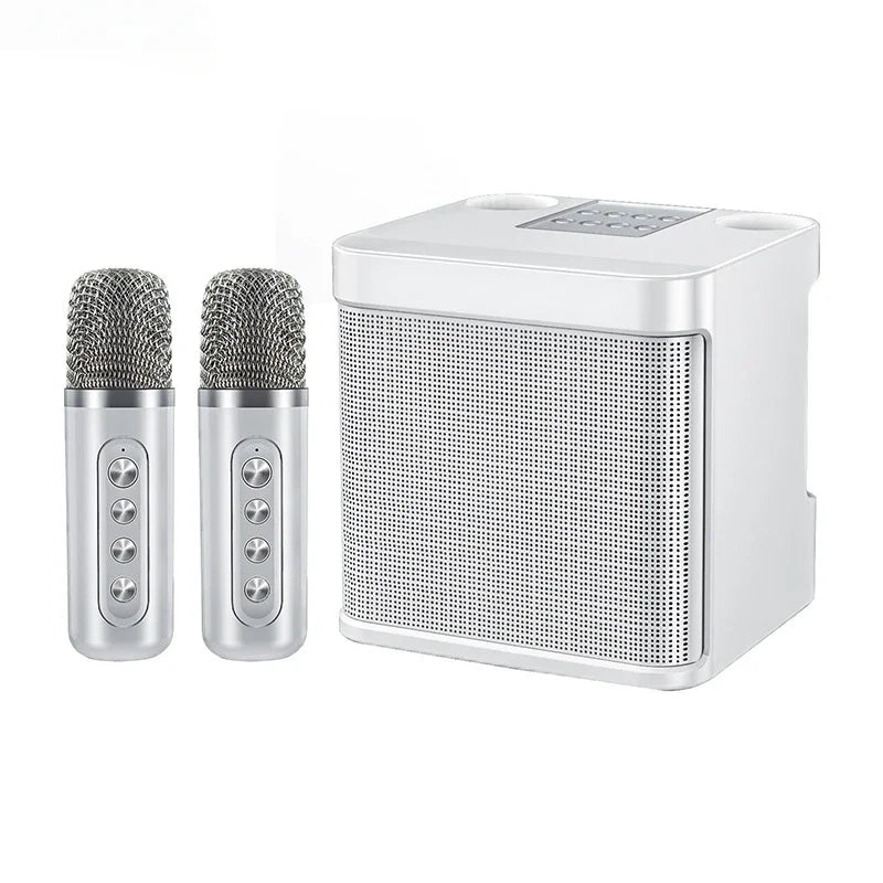 Powerful 10W Wireless Portable Bluetooth Speaker With Dual Microphone Sound Outdoor Family Party Karaoke Subwoofer Boom Box